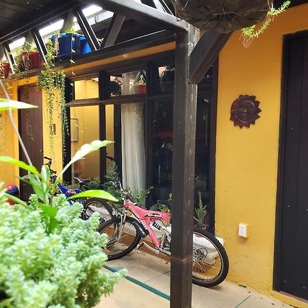 안티구아 과테말라 Parrot House B&B 외부 사진