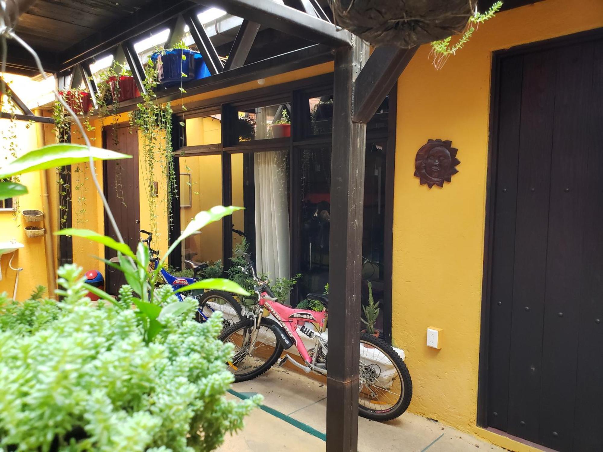 안티구아 과테말라 Parrot House B&B 외부 사진