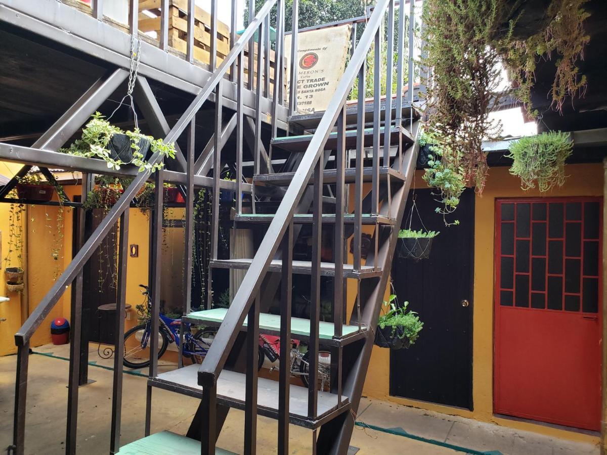 안티구아 과테말라 Parrot House B&B 외부 사진