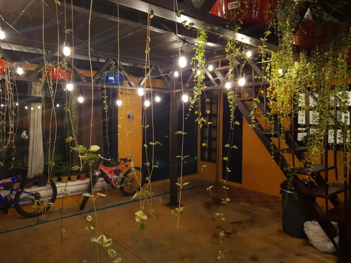 안티구아 과테말라 Parrot House B&B 외부 사진