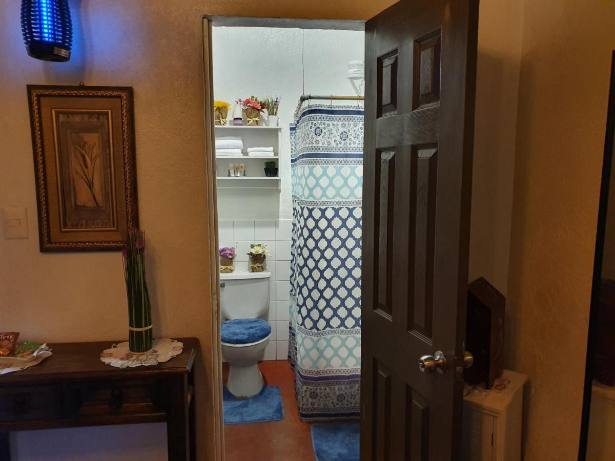 안티구아 과테말라 Parrot House B&B 외부 사진