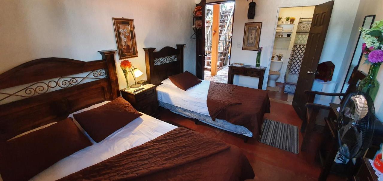 안티구아 과테말라 Parrot House B&B 외부 사진