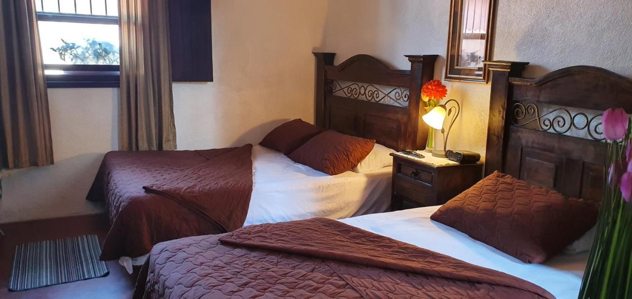 안티구아 과테말라 Parrot House B&B 외부 사진